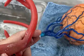 zone3dplus multi-color printing