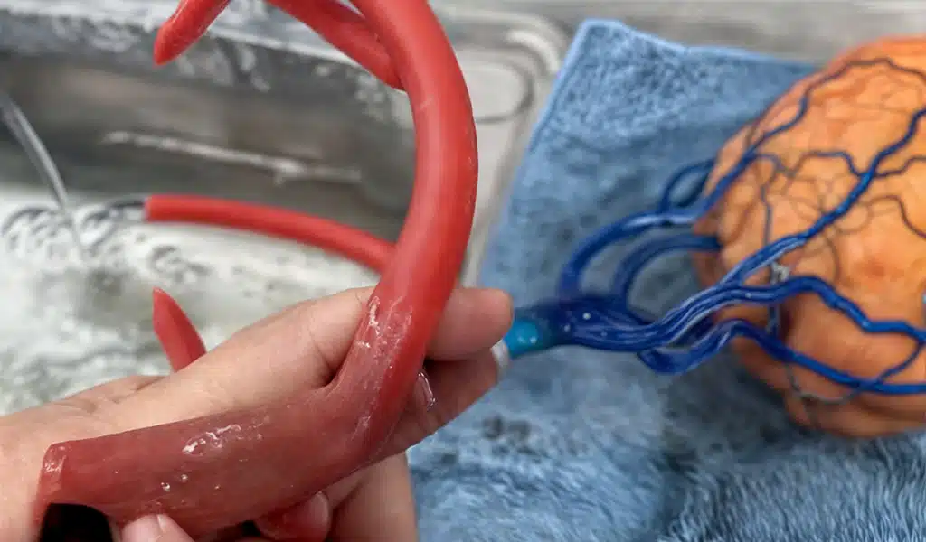 zone3Dplus multi-color printing